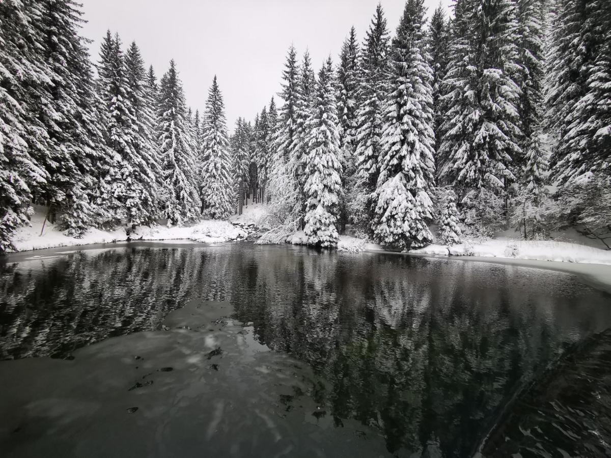 Chata Pod Studnicnou Pec pod Sněžkou Extérieur photo