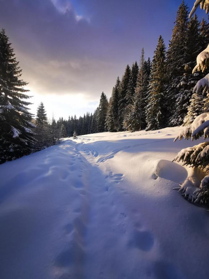 Chata Pod Studnicnou Pec pod Sněžkou Extérieur photo